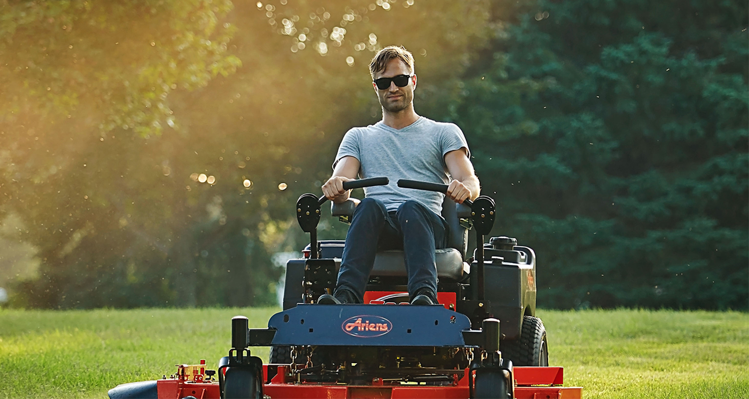 Hedge trimmming